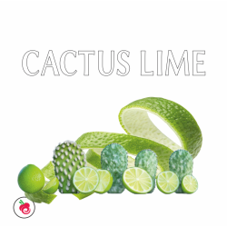 CACTUS LIME FLAVOUR