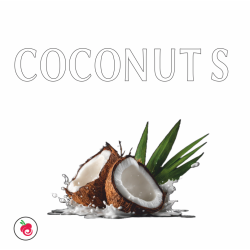 COCONUT S FLAVOUR