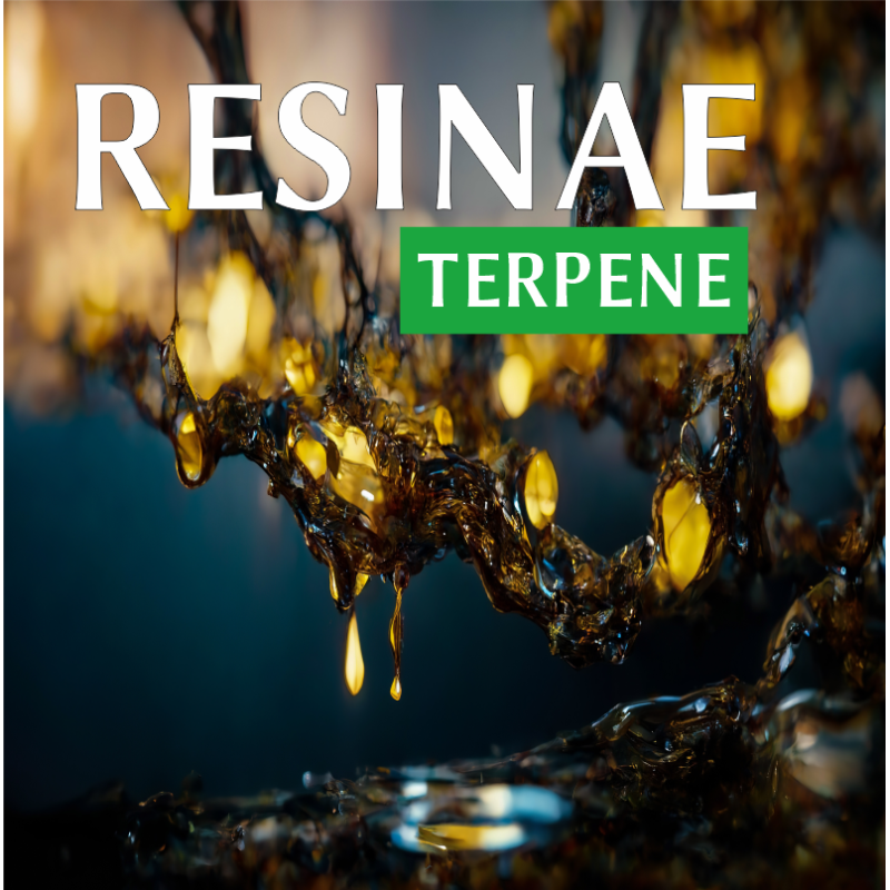 RESINAE