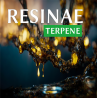 RESINAE