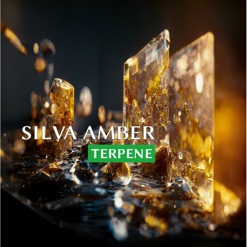SILVA AMBER