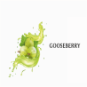 GOOSEBERRY AROMA