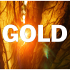 GOLD AROMATISANT FEUILLE DE TABAC