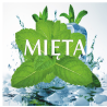 MIĘTA AROMA