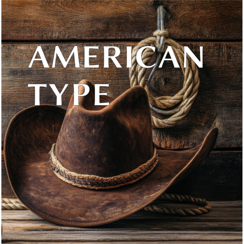 AMERICAN TYPE FLAVOUR