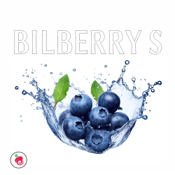 BILBERRY S FLAVOUR